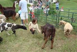 Not only when the disaster happens, it also comes to handle if you want to take your pets outside for camping for travelling. Mobile Petting Zoo Pro Entertainment Nashville