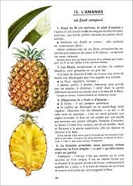 Animaux Et Plantes Des Pays Tropicaux Lecons De Choses Et Exercices D Observation Cm Natha Apprendre Le Francais Aliments Bons Pour La Sante Lecon De Choses