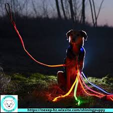 Led Dog Leash Rechargeable Illumiseen Guinzaglio Per Cani Bright
