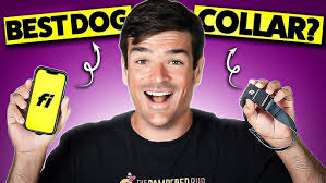 River needs a lot of work and he is going out for a walk every day