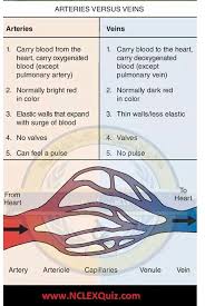 Pin On Nursing School Study Tips Nclex