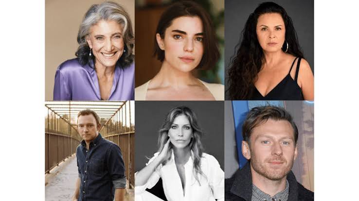 The Lincoln Lawyer Season 5 Cast Adds Six New Stars for Its Final Season