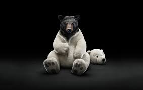 Love, toy, heart, bear, hearts. Bear Wallpaper Wild Country Fine Arts