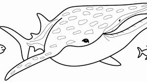 Whale Shark Coloring Page Beautiful Sharkwhale Coloring Download Sharkwhale Coloring For Free Shark Coloring Pages Mermaid Coloring Pages Coloring Pages