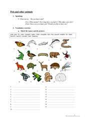 Australian Animals Worksheet Free Esl Printable Worksheets Made By Teachers Vertebrates And Invertebrates Invertebrates Animal Worksheets