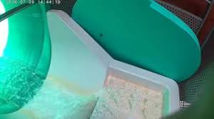 Sup Cholet Tobboggan Interieur De La Piscine Glisseo