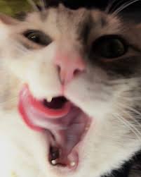 bnkr_after_six • Instagram photos and videos