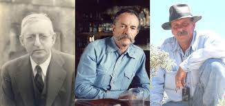 Image result for Buchnera strictissima