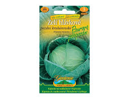 Image result for hlávková kapusta