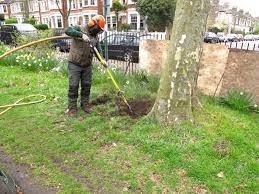 Certification is valid for 3 years. How To Become An Arborist In Bc Arxiusarquitectura