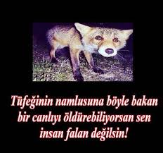Musa Atici Adli Kullanicinin Dostlar Alemi Panosundaki Pin Hayvan Sozleri Hayvan Haklari Komik Hayvanlar