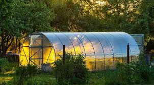 как правильно сделать грядки в теплице 3 на 6 Teplica 5 Samyh Chasto Zadavaemyh Voprosov Pro Teplicy Na Supersadovnik Ru