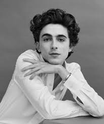 Dass timothée chalamet eines tages ein erfolgreicher schauspieler werden würde, war nur eine frage der zeit. Timothee Chalamet On Dune And Charting His Own Course Time