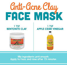 Bentonite Clay Apple Cider Vinegar Indian Healing Clay Aztec Secret Indian Healing Clay Aztec Clay Mask