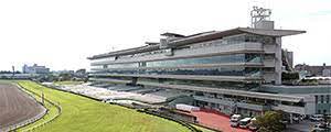 Contribute to fqnews/bnews development by creating an account on github. é˜ªç¥žç«¶é¦¬å ´ Jra