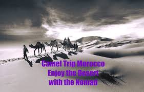 The best tours in morocco according to viator travelers are Camel Trip Morocco Enjoy The Desert With The Nomads