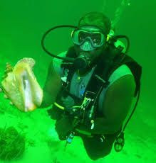 Advocate for an Underwater Education