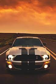 Shelby Gt Mustang Ford Mustang Mustang Cars