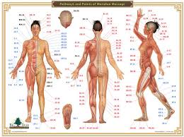 acupressure chart pathways and points of meridian massage