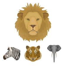 Lion Realistic Stock Illustrations