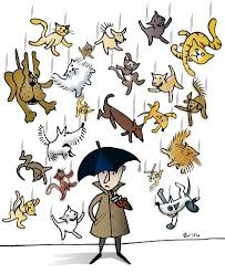 English Picture Idioms Raining Cats And Dogs Figurative Language Idioms Raining Cats And Dogs