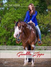 gamblin zippo apha stallion owned by samantha whited www sammerzph com pferde