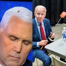 A Round Up Of The Buzziest Mike Pence Fly Memes Dazed