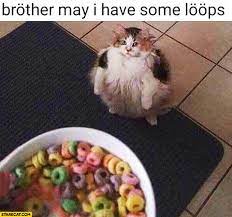 Cats Wanting Fruit Loops Know Your Meme