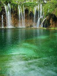 Beautiful Forest Waterfall Forest Waterfall Beautiful Waterfalls Waterfall