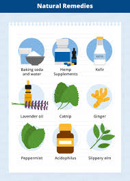 Dog Nausea Natural Remedies Canna Pet