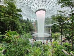 Hundreds of species of plants from all over the world were included in the botanical gardens, making up the largest indoor collection of flora in the entire country. A Quick Guide To Jewel Changi Airport Singapore Backstreet Nomad