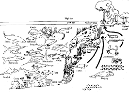 Coloring pages drawing abc 123 games, coloring pages drawing game, coloring pages halloween, coloring pages to print, coloring pages transformers. Ecology Coloring Pages Coloring Home