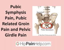 Energy diagram for endothermic reaction. Pubic Symphysis Pain Pubic Related Groin Pain And Pelvic Girdle Pain