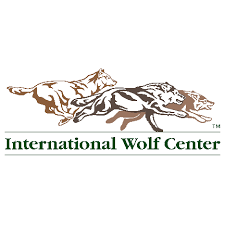 In an effort to increase access to the latest information about the wolves in our home state, we are presenting three free biologist webinars. International Wolf Center Home Facebook