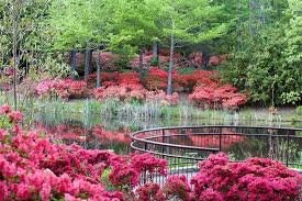 Maybe you would like to learn more about one of these? 10 Best Gardens To Visit In Georgia Official Georgia Tourism Travel Website Explore Georgia Org