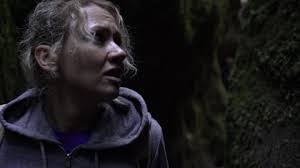 4,845 Lost Woods Stock Video Footage