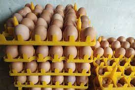 Lihat ide lainnya tentang telur, gambar, ayam. Foto Telur Ayam Infertil Dilarang Dijual Di Pasar Tak Layak Konsumsi