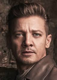 Jeremy Renner Fan Casting