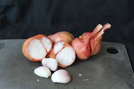 Image result for shallots