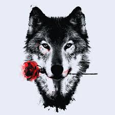 Black Rose T Shirt Wolf Tattoo Design Wolf Tattoos Drawings