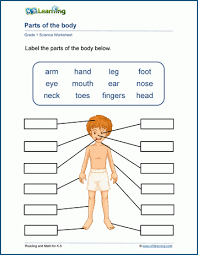 Parts first grade, our body is wonderful, my body practice page for ist grade, our body, joints, my body moves, body movement, importance of thumb, how is. Science Worksheets For Grade 1 Students