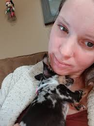 Red usually comes in the evening but today we had a morning visit so we had  a scramble to get food out for her. She enjoyed her dog biscuits. (Photos  are snaps