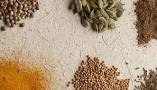 نتیجه تصویری برای داروی گیاهی درمان نازایی | داروی گیاهی برای تنبلی تخمدان