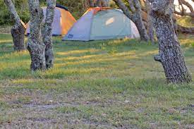 Whether you just need to know where to camp nearby or you want to plan a free camping road trip, we've got you covered.you can simply use your smart phone's gps to find camping near you or even use our trip planner to plan your route from coast to coast. Camping Near Morehead City Morehead Com