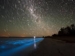 Star Trails And Bioluminescence Gippsland Lakes Australia Photographic Print Stocktrek Images Art Com In 2021 Swimming Photos Lake Places To Go