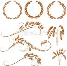 Wheat Wreaths Wheat Tattoo Wheat Drawing Wreath Illustration