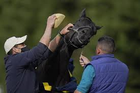 Check spelling or type a new query. Medina Spirit Receives Green Light For 2nd Leg