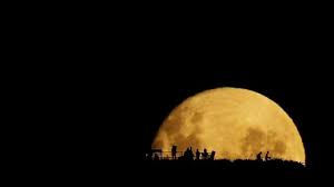 Popularized by et the extraterrestrial, almost to the point where it has become a stock shout out. This Is Stunning Full Moon Silhouettes By Mark Gee Full Moon Silhouettes Is A Real Time Video Of The Moon Rising O Moon Silhouette Full Moon Full Moon Rising