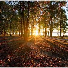 A discover pass is required for vehicle access to state parks for day use. Friends Of Leesylvania State Park Home Facebook