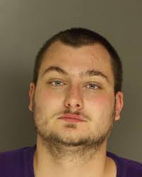 Police: Man shot into Dillsburg-area home with 5 teens inside